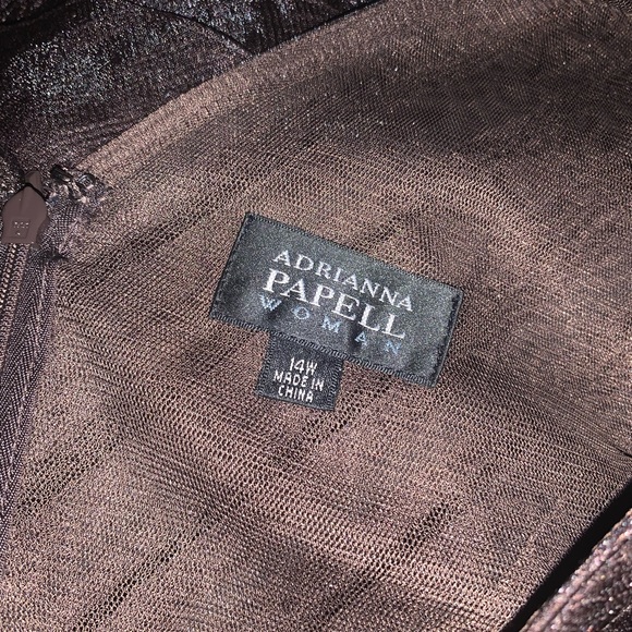 NWT ADRIANNA PAPELL dress size 14W - Picture 3 of 5